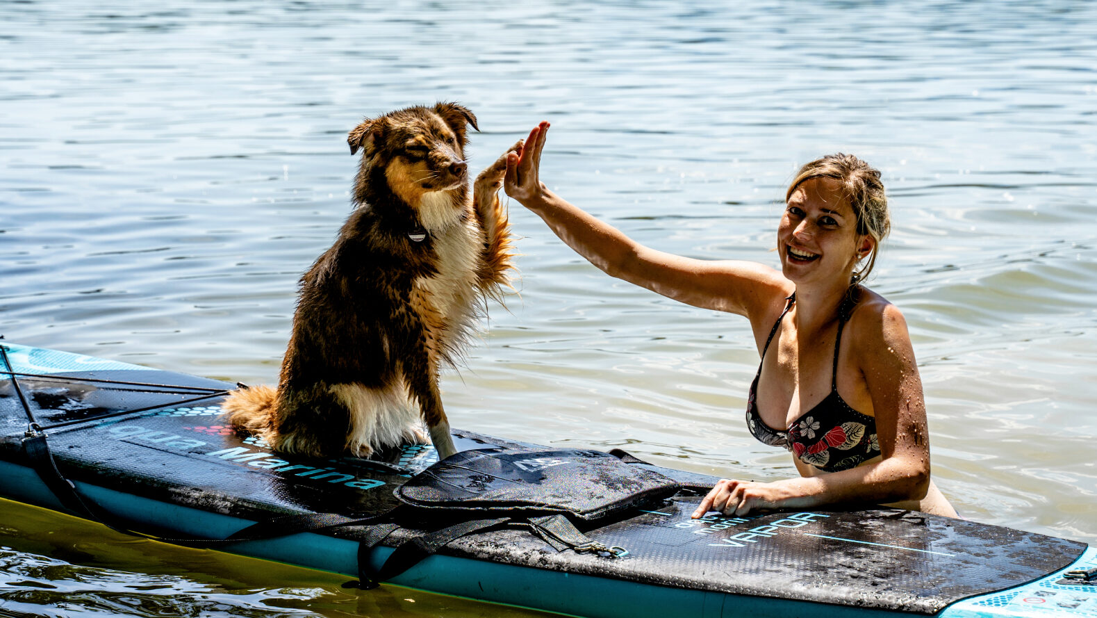 Ein flauschiger Hund sitzt auf einem Stand-Up-Paddel-Board und gibt seinem Frauchen im Wasser ein High-Five