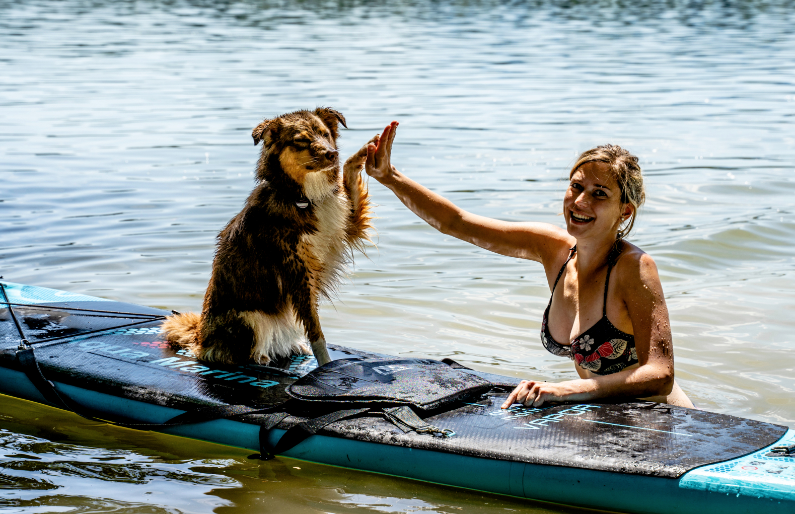 Ein flauschiger Hund sitzt auf einem Stand-Up-Paddel-Board und gibt seinem Frauchen im Wasser ein High-Five
