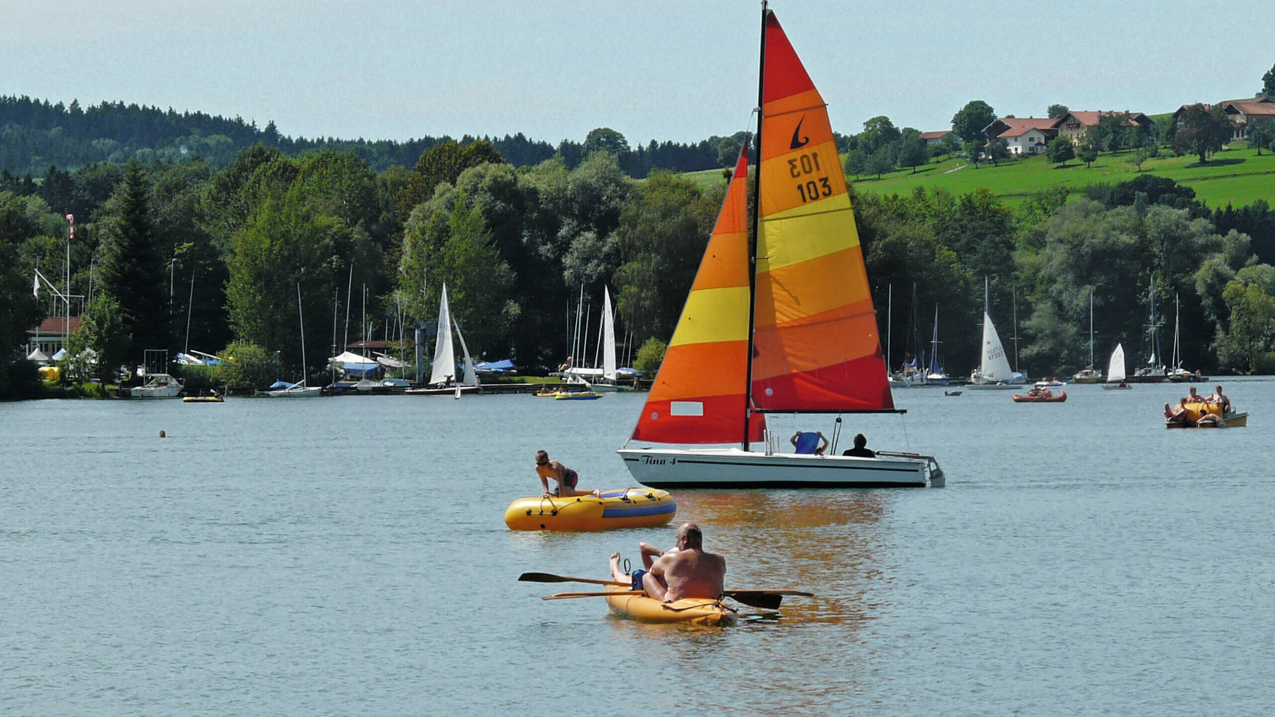 mehrere Segelboote und zwei kleine Schlauchboote im Waginger See