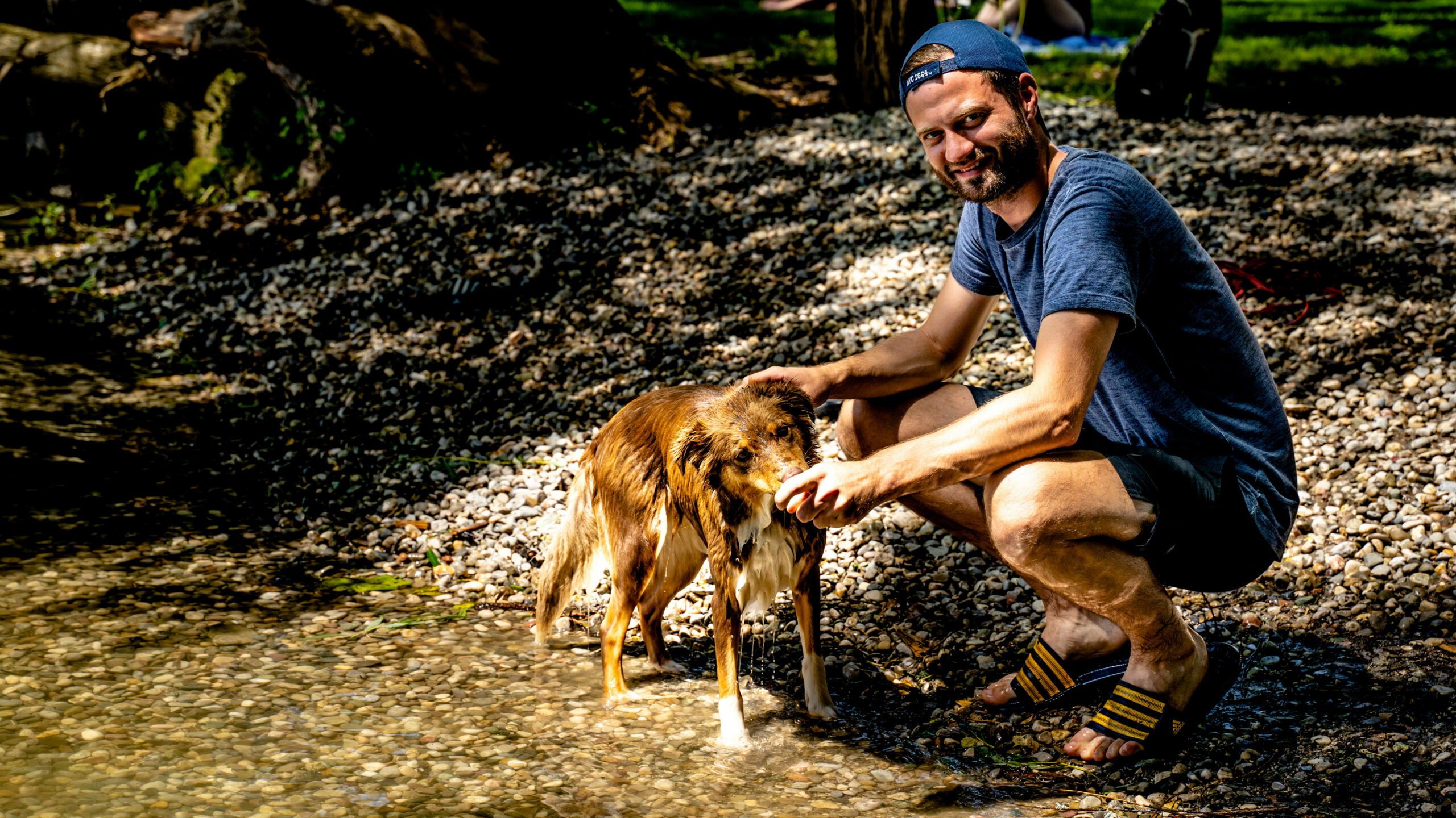 Ein Mann und ein flauschiger Hund planschen im niedrigen Wasser an einem Kiesstrand.