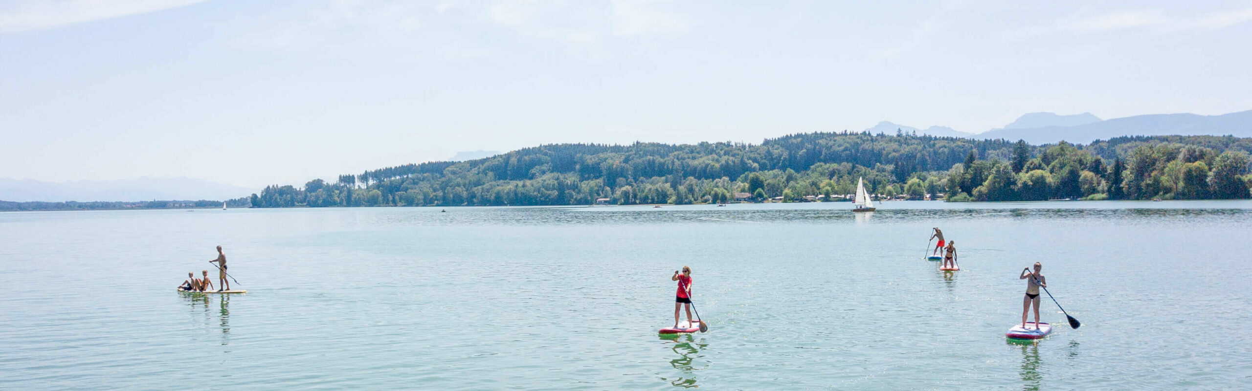 mehrere Stand-up-Paddler, die auf dem Waginger See fahren
